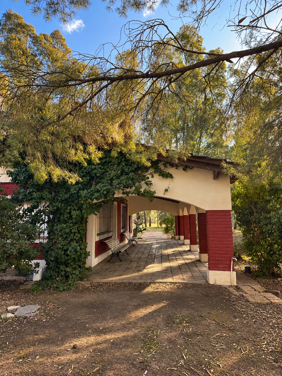La galería de la casa entre ramas y árboles