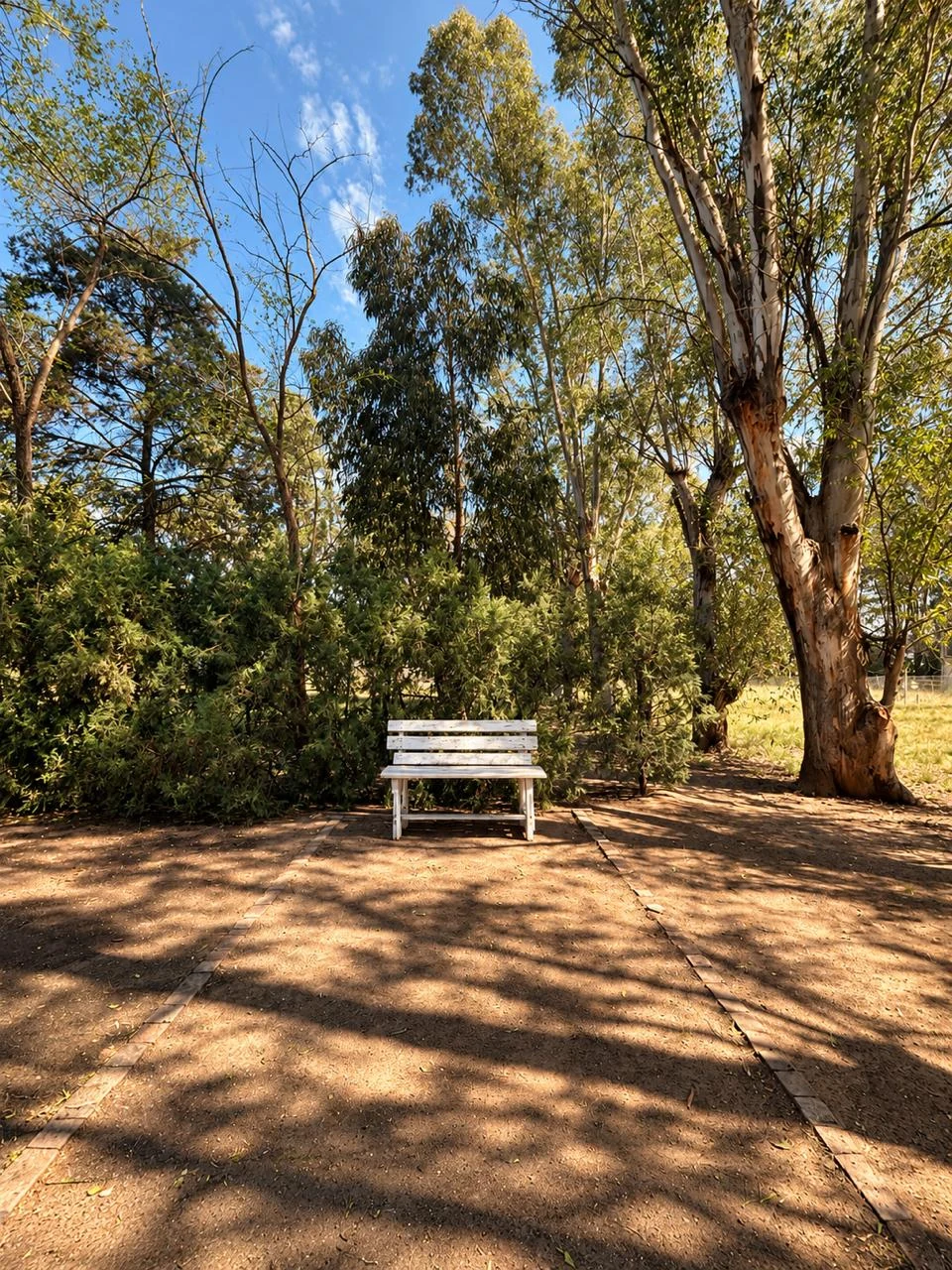 Un banco del parque rodeado de árboles