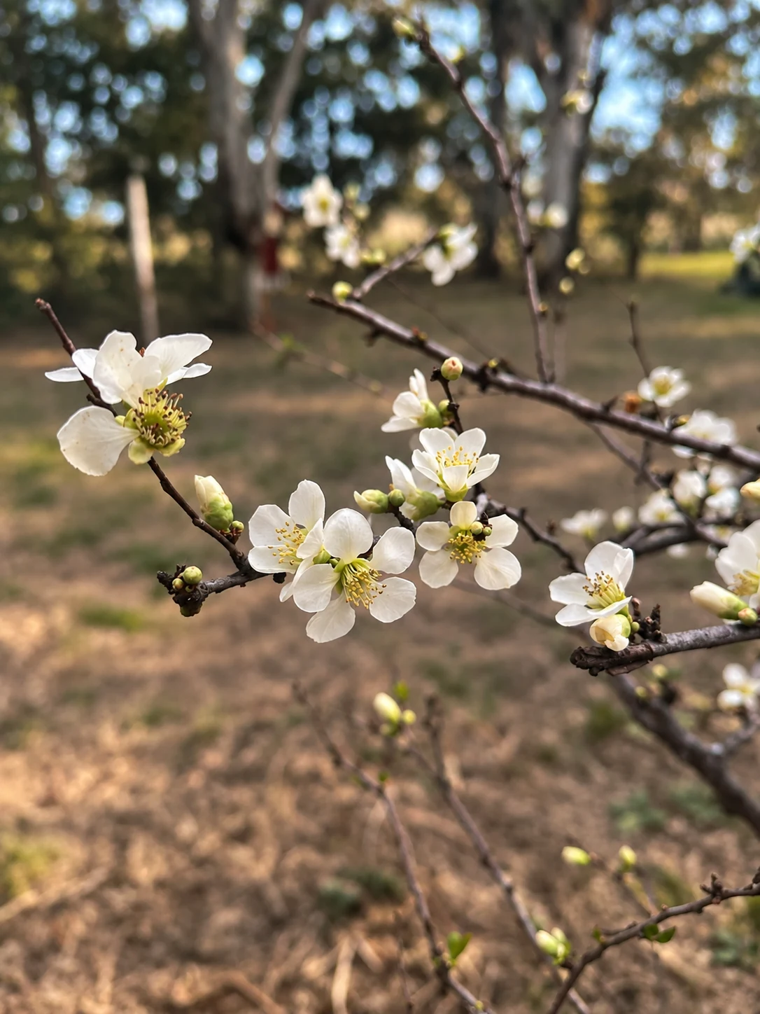 Un detalle de la naturaleza del parque