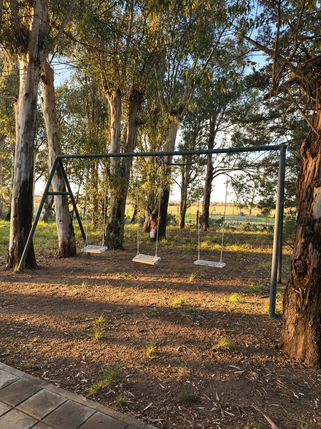Las hamacas entre los árboles de La Caldenia